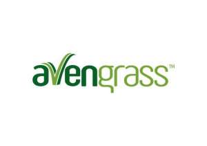 avengrass--artificial-grass-manufacturer-qatar