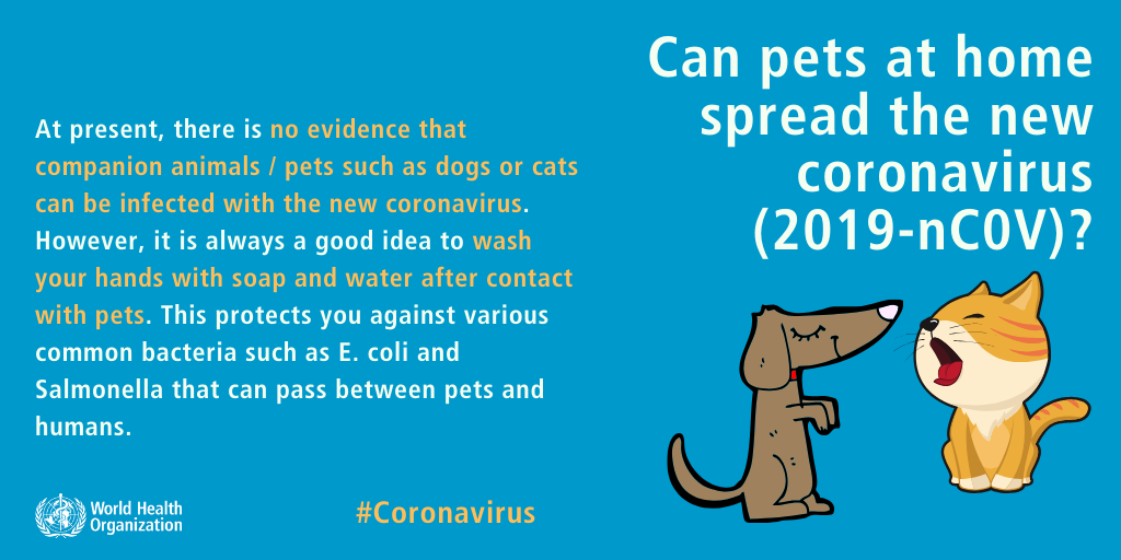 myth about coronavirus 