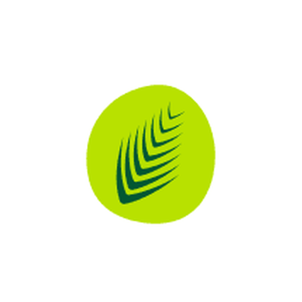 al-meera-al-khor-qatar