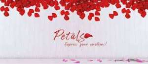 petals-qatar--flowers--plants-shop-saudi