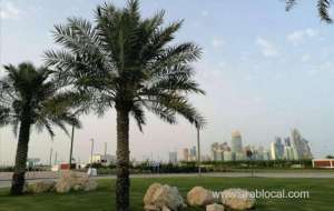 qatar-reported-3-covid19-deaths-and-870-new-cases-on-april-3-qatar