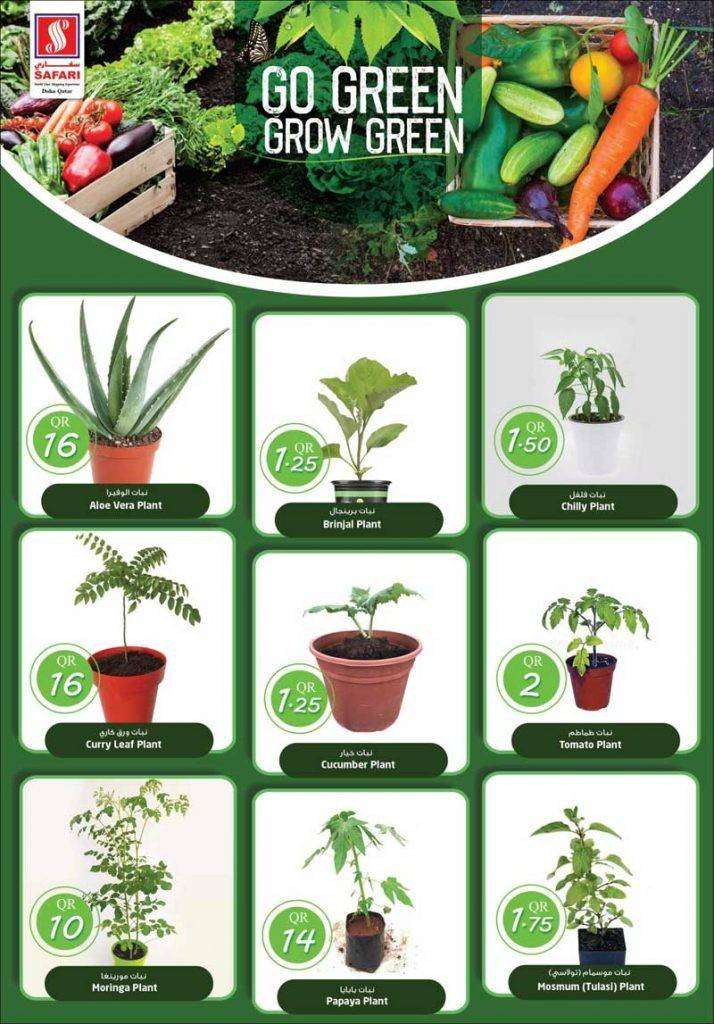 go-green-grow-green-offers-qatar